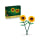 Klocki LEGO® LEGO BOTANICALS 40524 Słoneczniki
